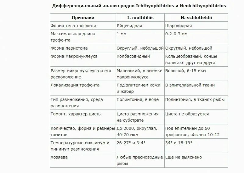 Метронидазол для помидор. Метронидазол для огурцов в теплице.