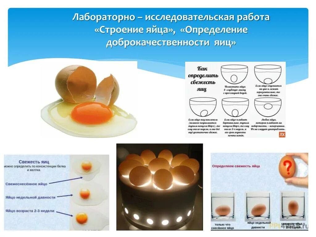 Качества яиц куриных. Определение доброкачественности яиц. таблица качества яиц. определить свежесть яиц. способы определения качества яиц.