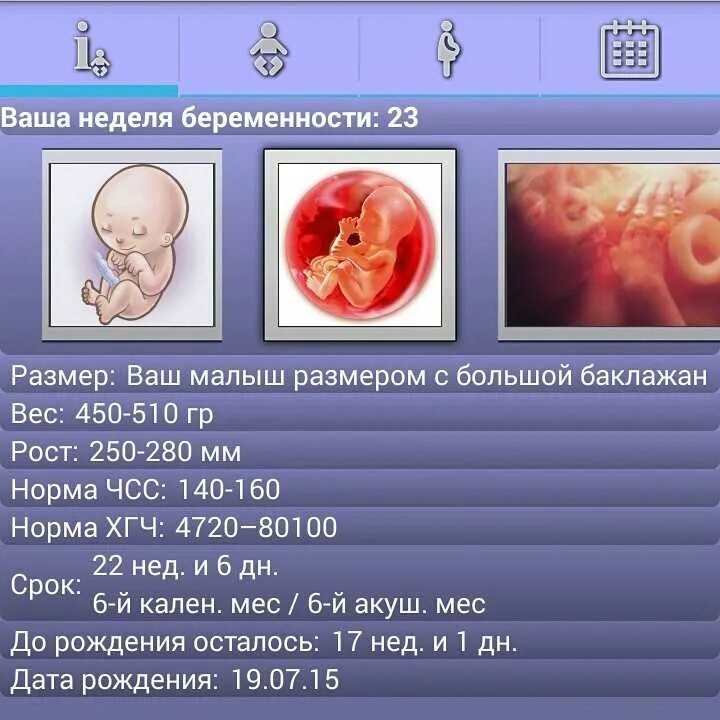 Как выглядит 23 неделя беременности. Вес ребёнка на 24 неделе беременности. Размер ребенка на 24 неделе беременности. Размер ребенка на 23 неделе. Вес и размер плода в 24 недели.