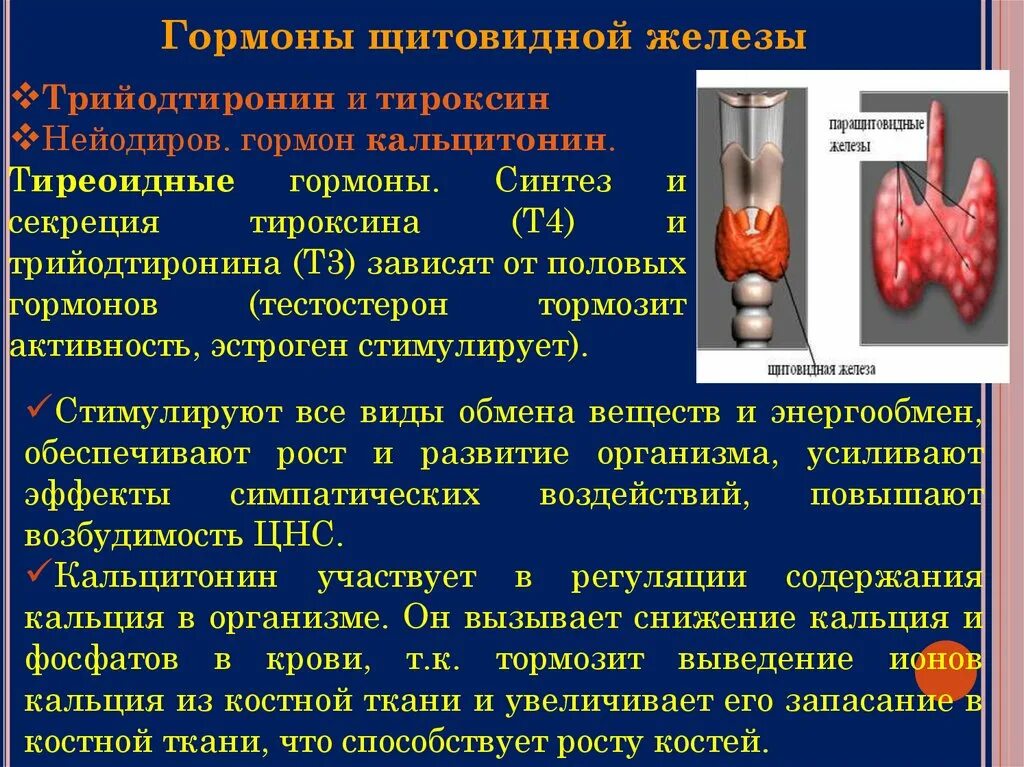 Использование йода для синтеза гормонов. Гормоны щитовидной железы тироксин и трийодтиронин. Щитовидная железа тироксин и трийодтиронин. Тироксин гормон щитовидной железы функции. Тиреоидные гормоны щитовидной железы физиология.