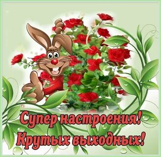Здравствуйте здоровье