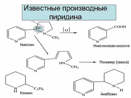 Никотин кислота