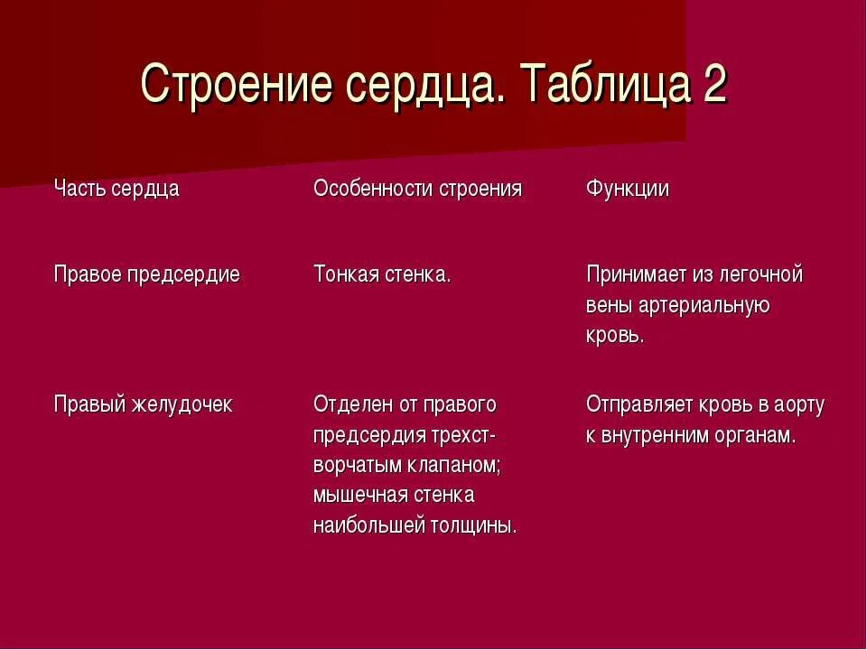 Правый желудочек функции. Особенности строения правого предсердия. Левое и правое предсердие функции. Сердце строение и функции. Строение сердца таблица.