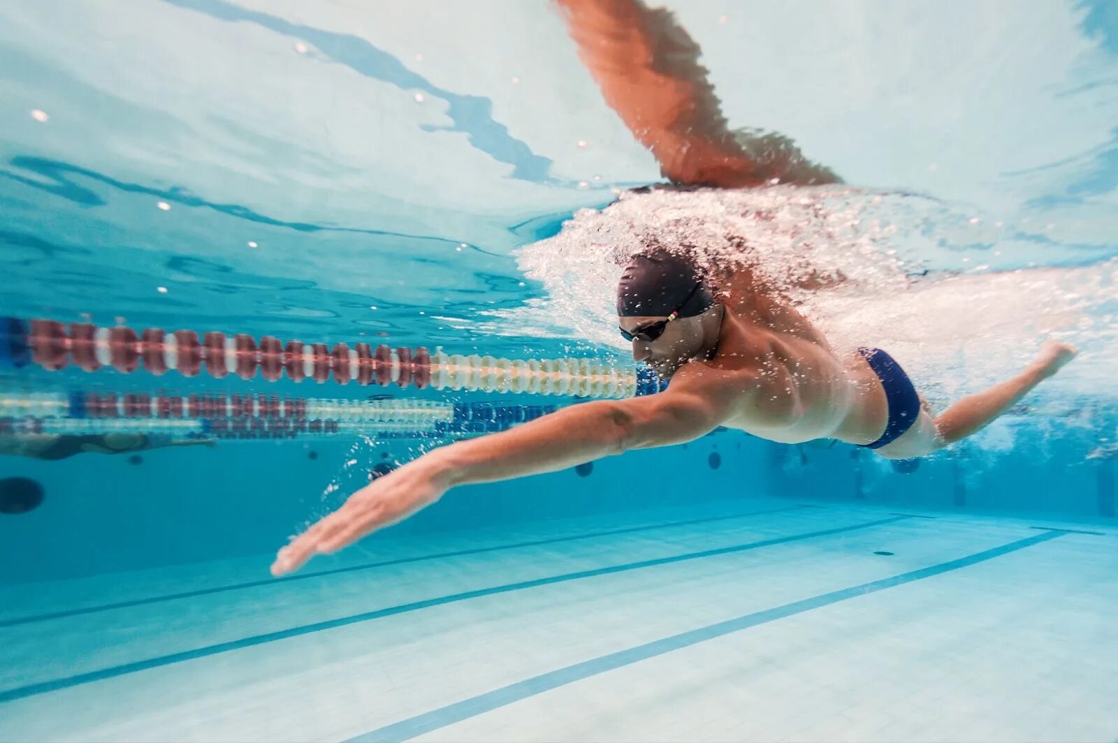 Swim википедия. Плавать баттерфляем. Стили плавания в бассейне. Кроль и брасс. Плавание кролем баттерфляем.