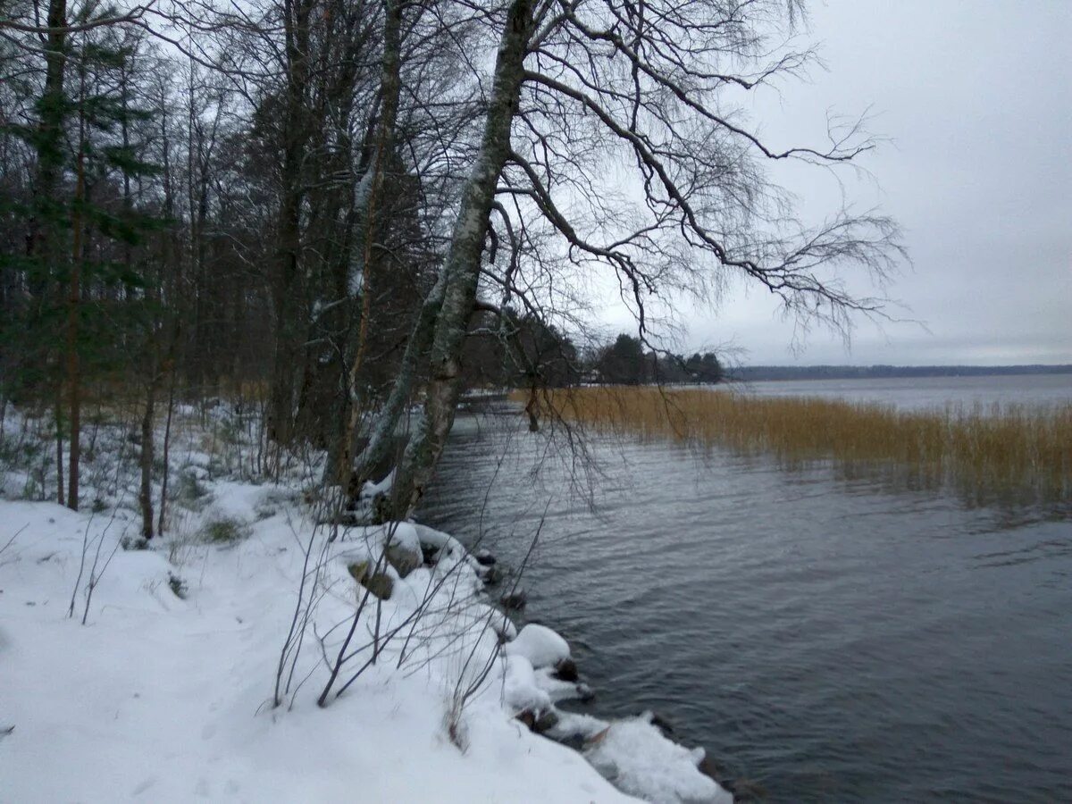 Ветер на озере отрадное. Озеро отрадное фото. Ветер на озере отрадное. Озеро отрадное. Ветер на озере отрадное.