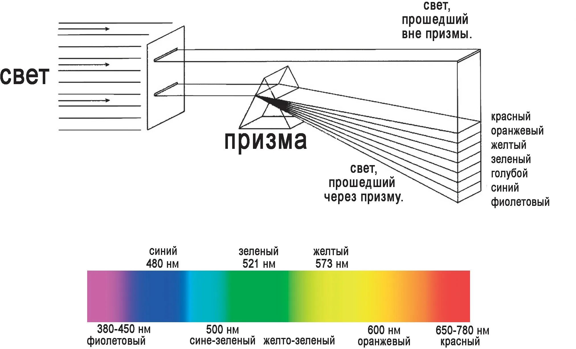 Яркость восприятия