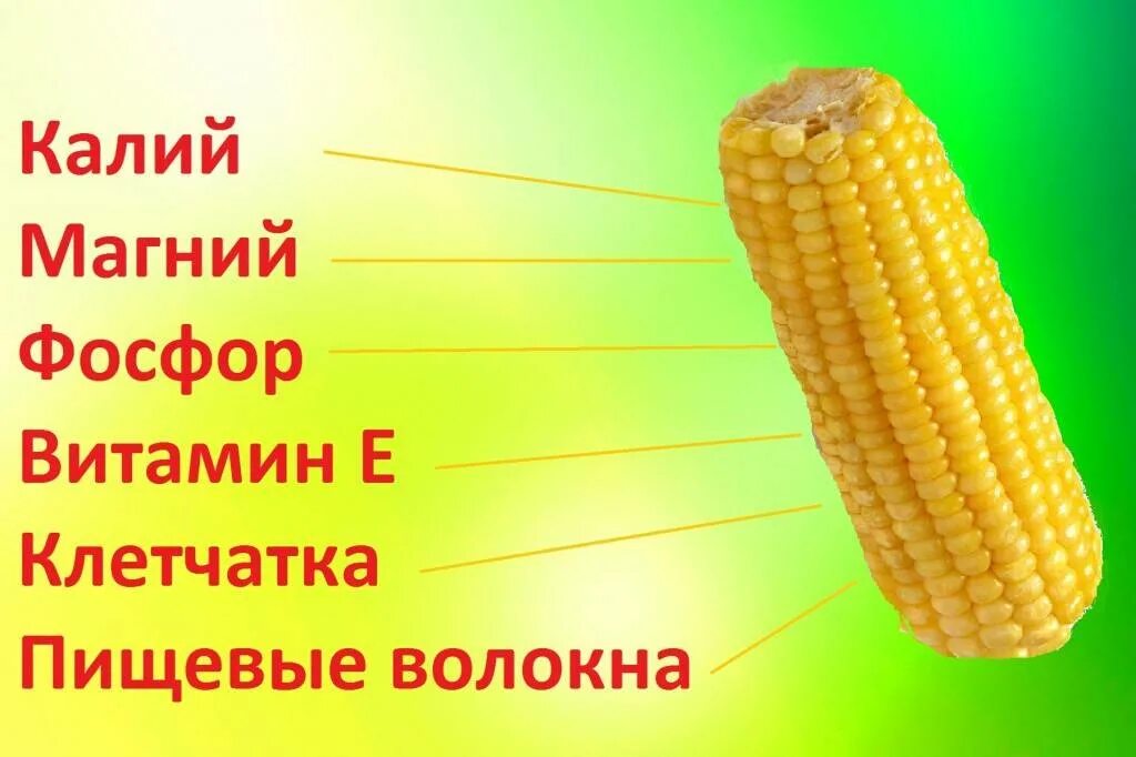 1 початок. Чем полезна кукуруза. Початок кукурузы калорийность. Кукуруза вареная калорийность. Что полезного в кукурузе.