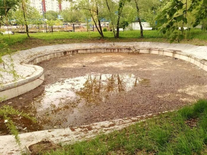 Спуск пруда с рыбой. Спущенный пруд. Спуск к воде пруд. Мальковый рыбоуловитель. Деревня водных каштанов.