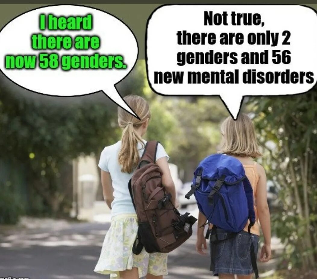 There are only 2 Genders. Two Genders. There are only two. Only two Genders meme. Only two days