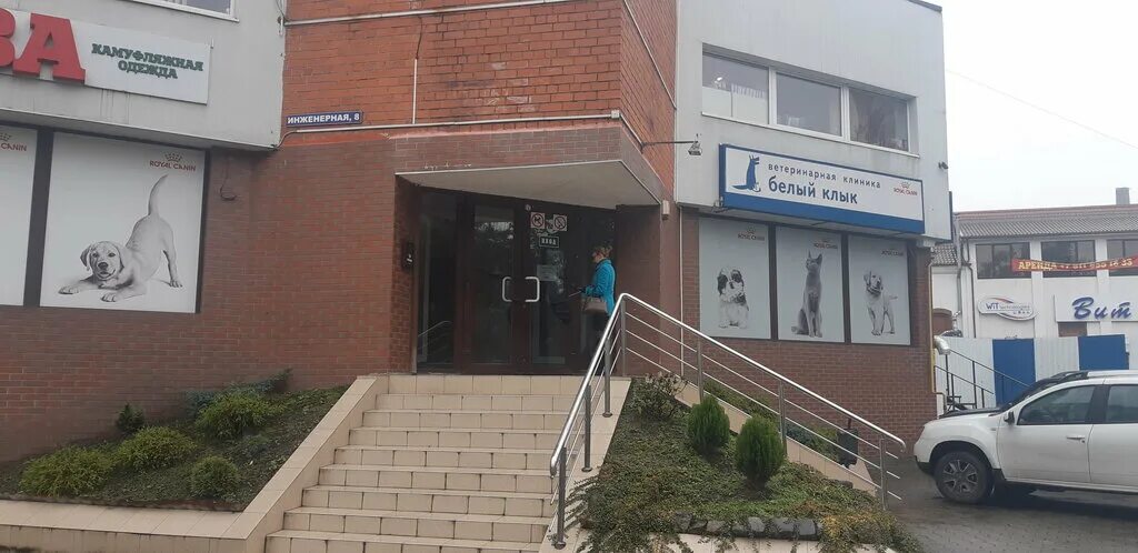 ветеринарная клиника белый клык калининград. белый клык москва ветклиника. белый клык калининград нарвская. ветеринарная клиника белый клык калининград инженерная 8. ветеринарная клиника белый клык калининград.