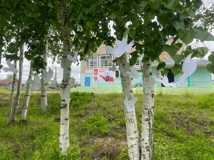 Погода сусанино хабаровский край ульчский