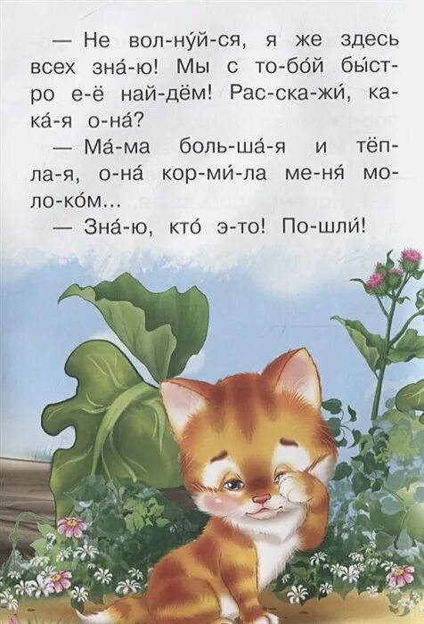 Как котенок маму искал. Как котенок маму искал сказка. Котёнок ищет маму книга. Котенок ищет маму. Книжка мамин котенок.