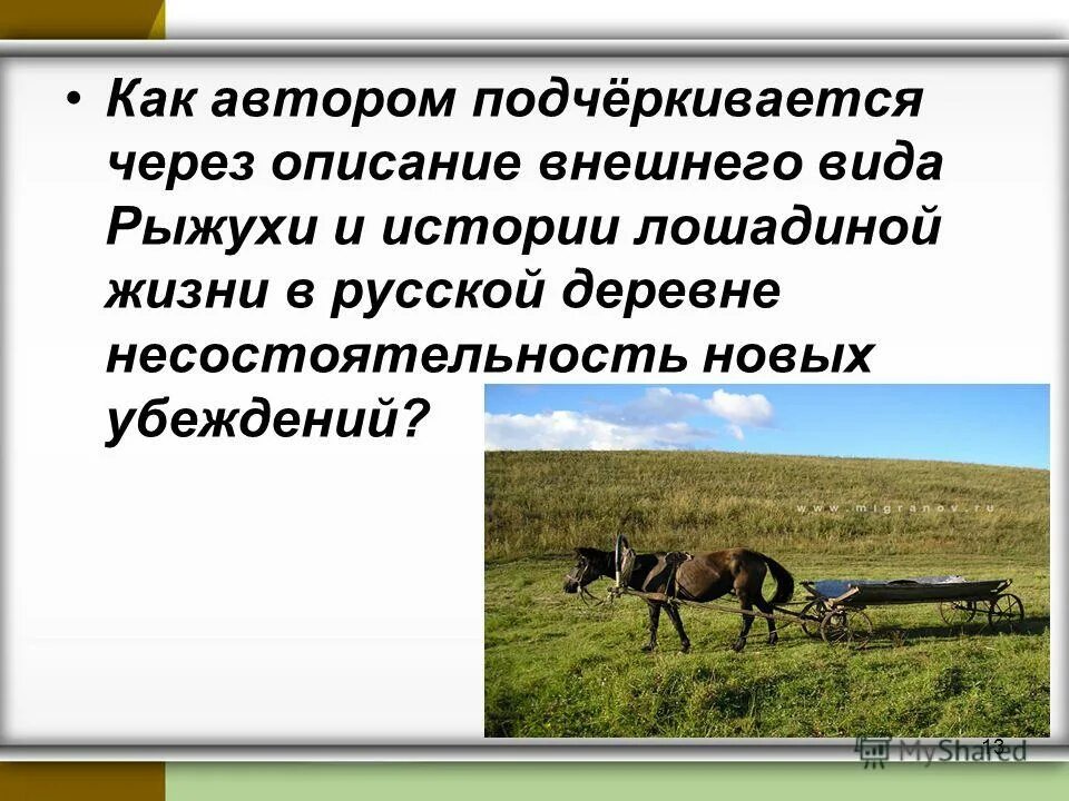 характеристика васи из дурного общества. как описать внешность. как автор описывает внешний вид. описание внешности молодого ученого. характеристика героя повести короленко "в дурном обществе" : вася.