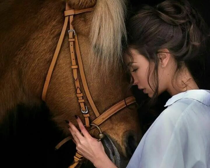 the air is wild with leaves Horses, Horse love, Horse life