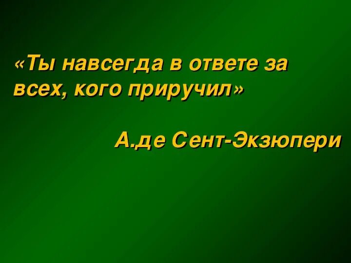 Кусака тема сострадание. Кусака. Кусака Андреев вывод. Сострадание и сочувствие в произведении кусака. Кусака вывод.