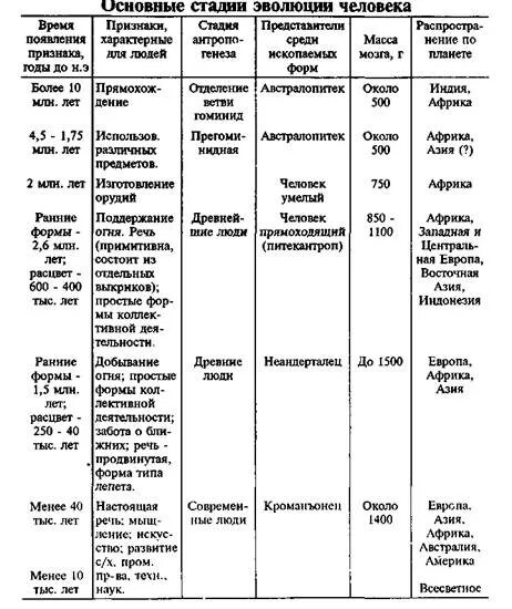 Таблица этапы развития и характеристика. Этапы происхождения человека таблица 11 класс. Стадия развития человека таблица по биологии. Этапы развития эволюции человека таблица по биологии 9 класс. Таблица по биологии этапы эволюции