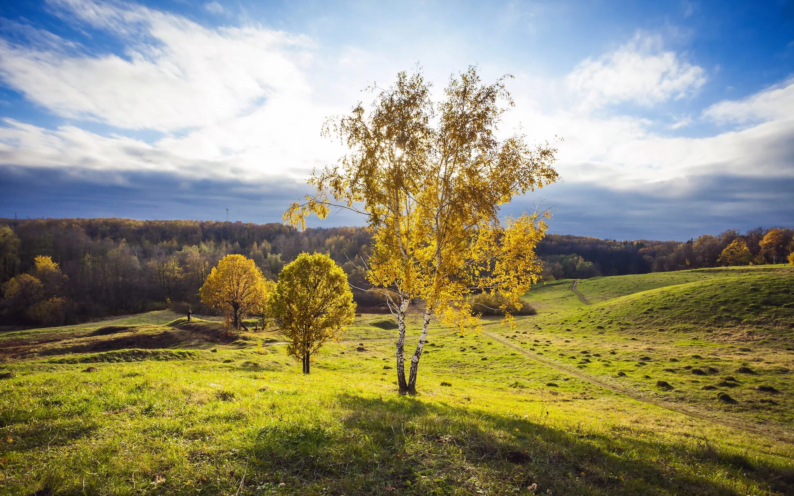 Красивая русская земля. Русская природа. Пейзажи России. Пейзажи среднерусской природы. Красивые пейзажи России.