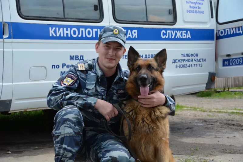 Структура кинологической службы. Кинолог в полиции. собаки кинологической службы.