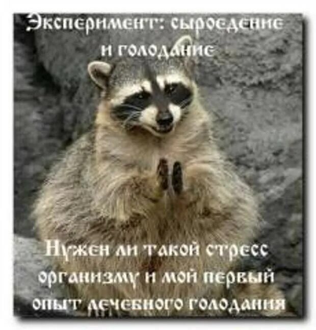 Жду субботу