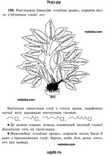 Домашнее задание по белорусской
