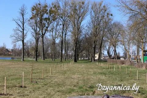 Деревня волчки