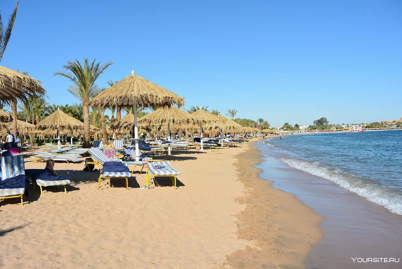 Отели в египта египта с песчаным входом море. Отели египта с песчаным входом в море. Пляжи шарм эль шейха. Шарм-эль-шейх отели 5. The grand hotel sharm 5* пляж.