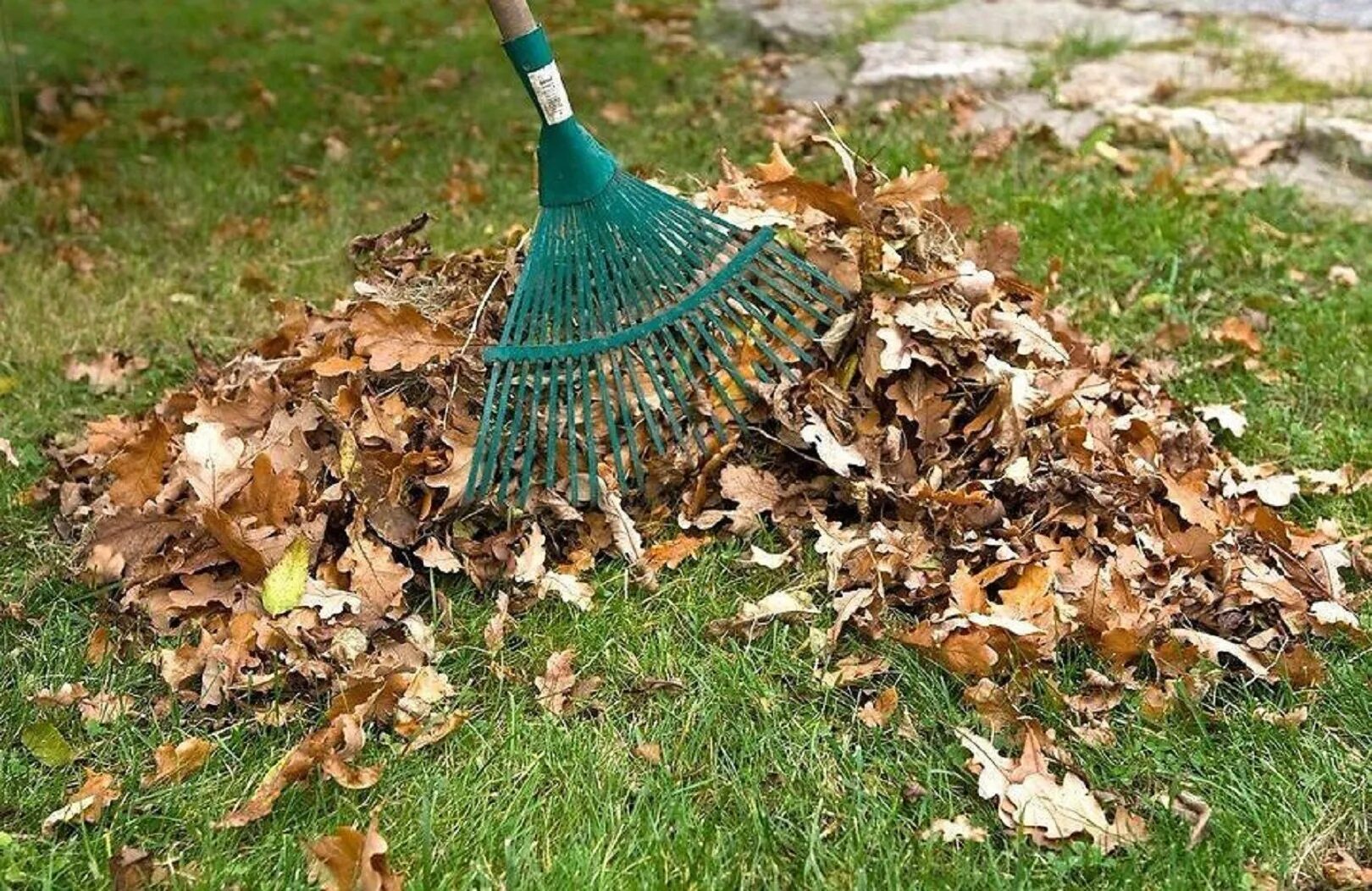 Нужно ли убирать листву. Уборка территории. Уборка листьев. Сгребание листвы.