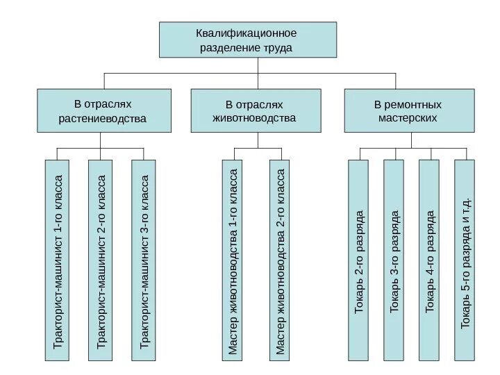 Форма организации труда основного персонала. Формы общественной организации труда. Квалификационное разделение труда. Схема элементов организации труда. Форма организации труда основного персонала.