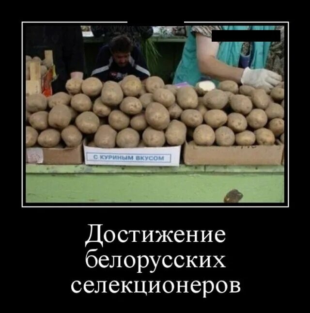 Демотиваторы в дневнике. Демотиваторы бугага. Демотиваторы бугага. Бугага ру сайт хорошего настроения видео. Бугага демотиваторы.
