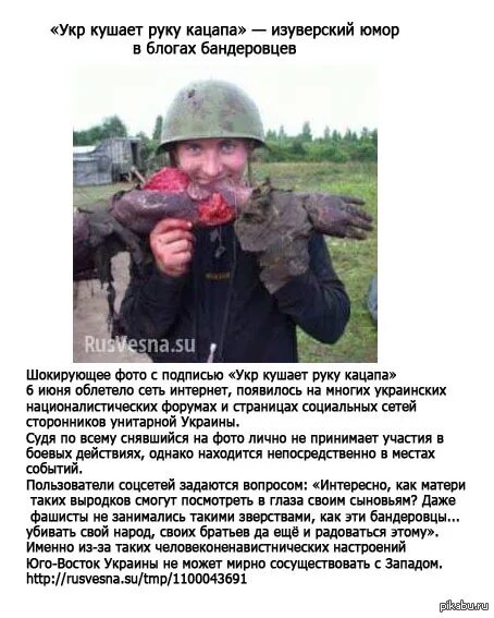 Кацапы это кто. Почему кацапы русские. Кацап. Кацап перевод. Украинское слово кацап.