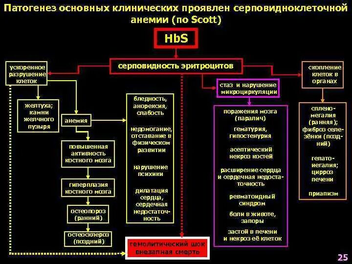 Серповидноклеточная анемия патогенез. Патогенез серповидно клеточной анемииэ. Серповидноклеточная анемия этиология. Серповидноклеточная анемия механизм развития. Общая этиология общий патогенез