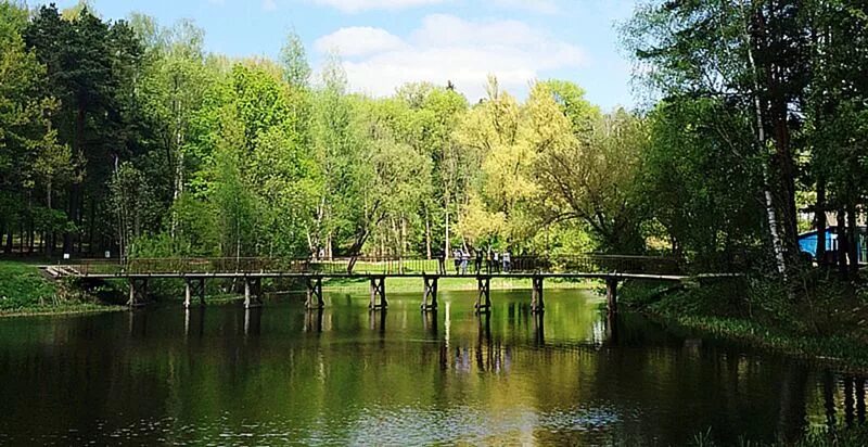 Печерский лесопарк могилев. Печерск могилев. Печерский лесопарк могилёвская область. Печерск могилев. Печерский лесопарк.