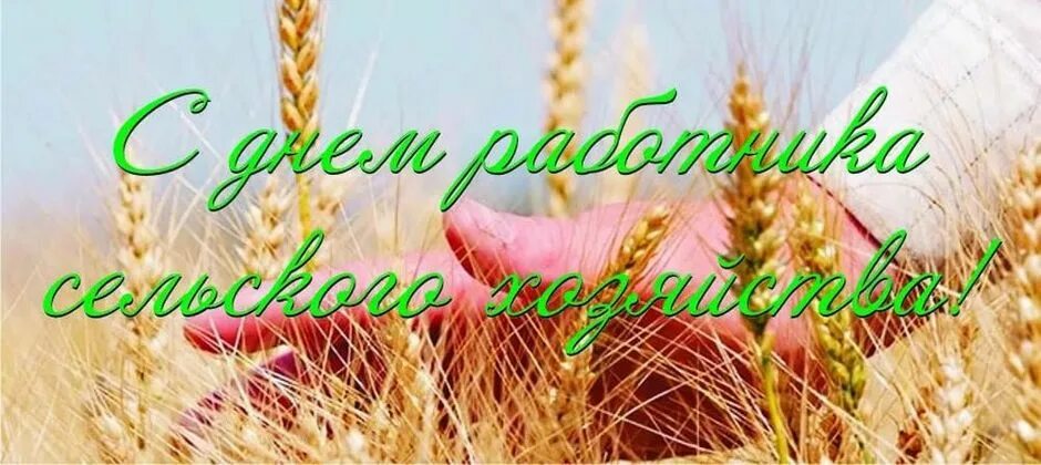 Какого числа день колхозника. Открытки с днем сельского хозяйства. день труженика сельского хозяйства. с праздником труженики села. день работника сельского хозяйства открытки.