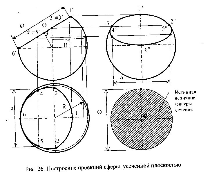 Проекции в шаре. Сечение шара Начертательная геометрия. Сечение сферы Начертательная геометрия. Проекция сферы Начертательная геометрия. Сечение сферы Начертательная геометрия построение.