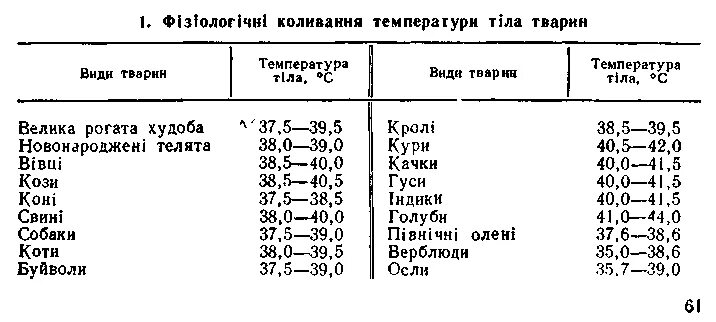 Температура тела кур. Нормальную температуру тела у крупного рогатого скота. Температура КРС В норме. Нормы температуры тела у животных таблица. Температура тела у коровы в норме.