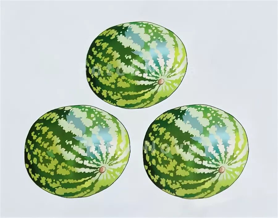 массу арбуза задача. дети и много арбузов. маленький арбуз. три арбуза. арбуз один.