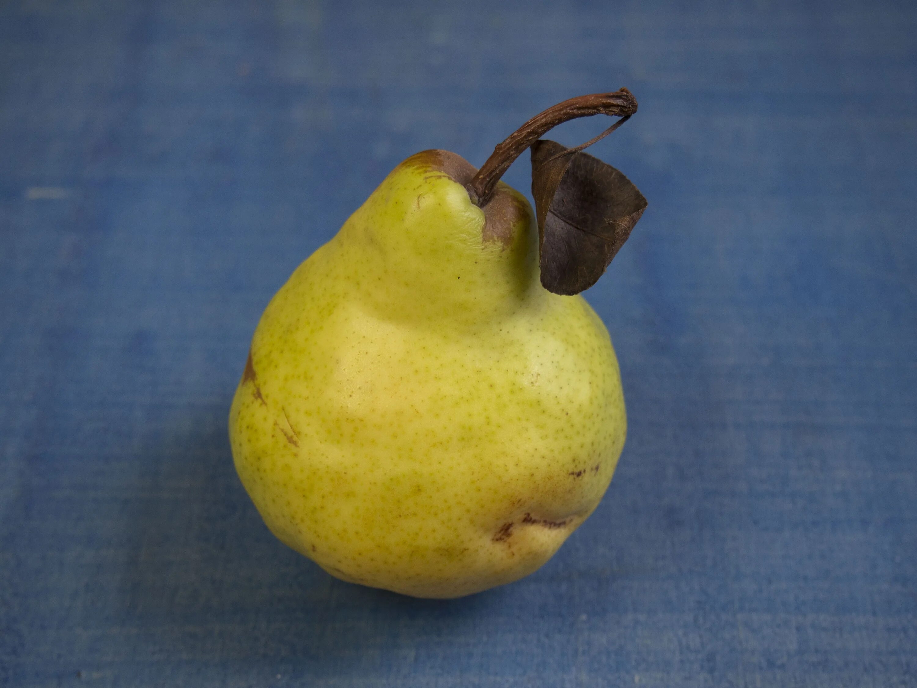 Pear 6. Груша айва. Гибрид груши и айвы. Айва цитрус. Quitte груша.