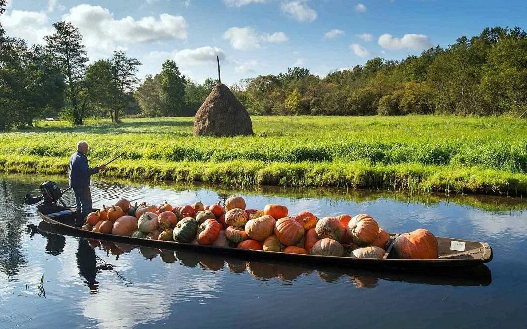 Груженная лодка. Фотосессия в лодке с тыквами. лодка с урожаем. поле с тыквами. лодка с тыквами и цветами.