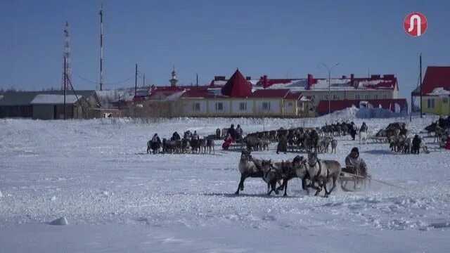 Прогноз погоды самбург. День оленевода самбург 2025. село самбург ямало ненецкий.