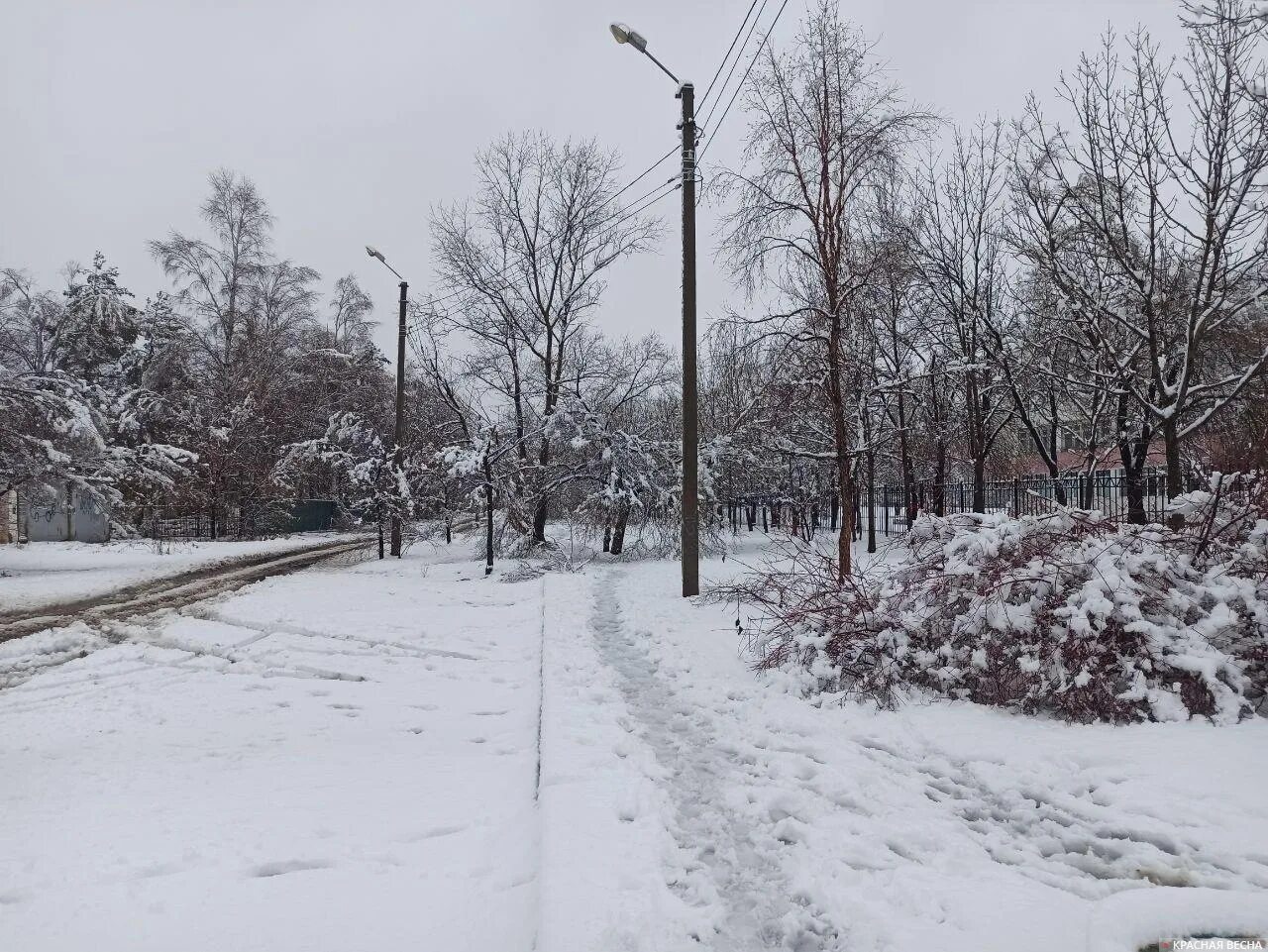 Хабаровске выпал снег. Хабаровск снег с дождем. Ветер и снег в Хабаровском крае. В Хабаровске выпал снег.