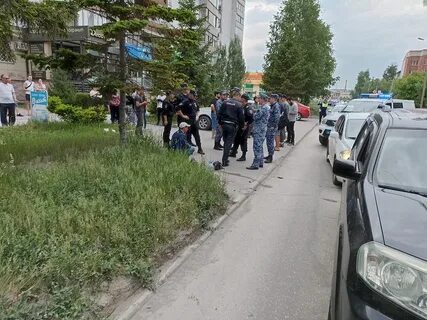 Новости бердска сегодня