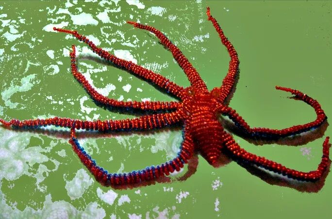 Плетение осьминог. Чудище морское из бисера. морские животные из бисера. осьминог из бисера. осьминожка из бисера.