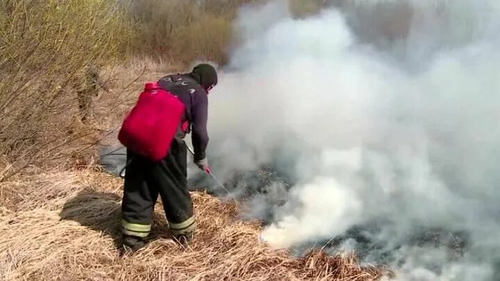 Пожары на Дальнем востоке. Пожары на территории дальнего Востока России. Дальний сгорел