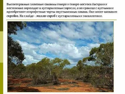 Осадки в саванне
