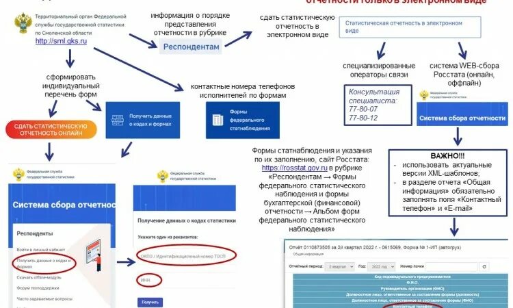 Виды статистической отчетности в судах. Порядок предоставления статистической отчетности.. Статистическая отчетность в суде. Виды статистической отчетности в судах схема.