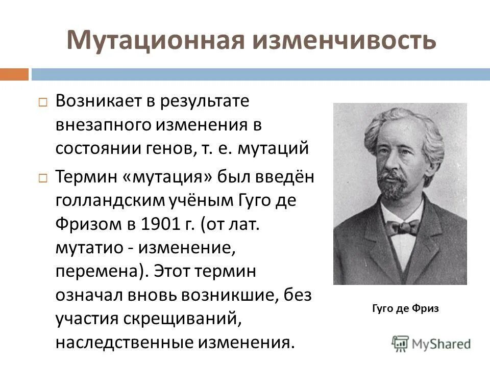 Вид изменчивости играющий ведущую роль в эволюции. Гуго де фриз мутационная теория. Закономерности изменчивости мутационная изменчивость. Мутационноеизменчивасть. Мутационная изменчивость (мутации).