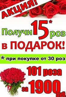 Розы оренбург