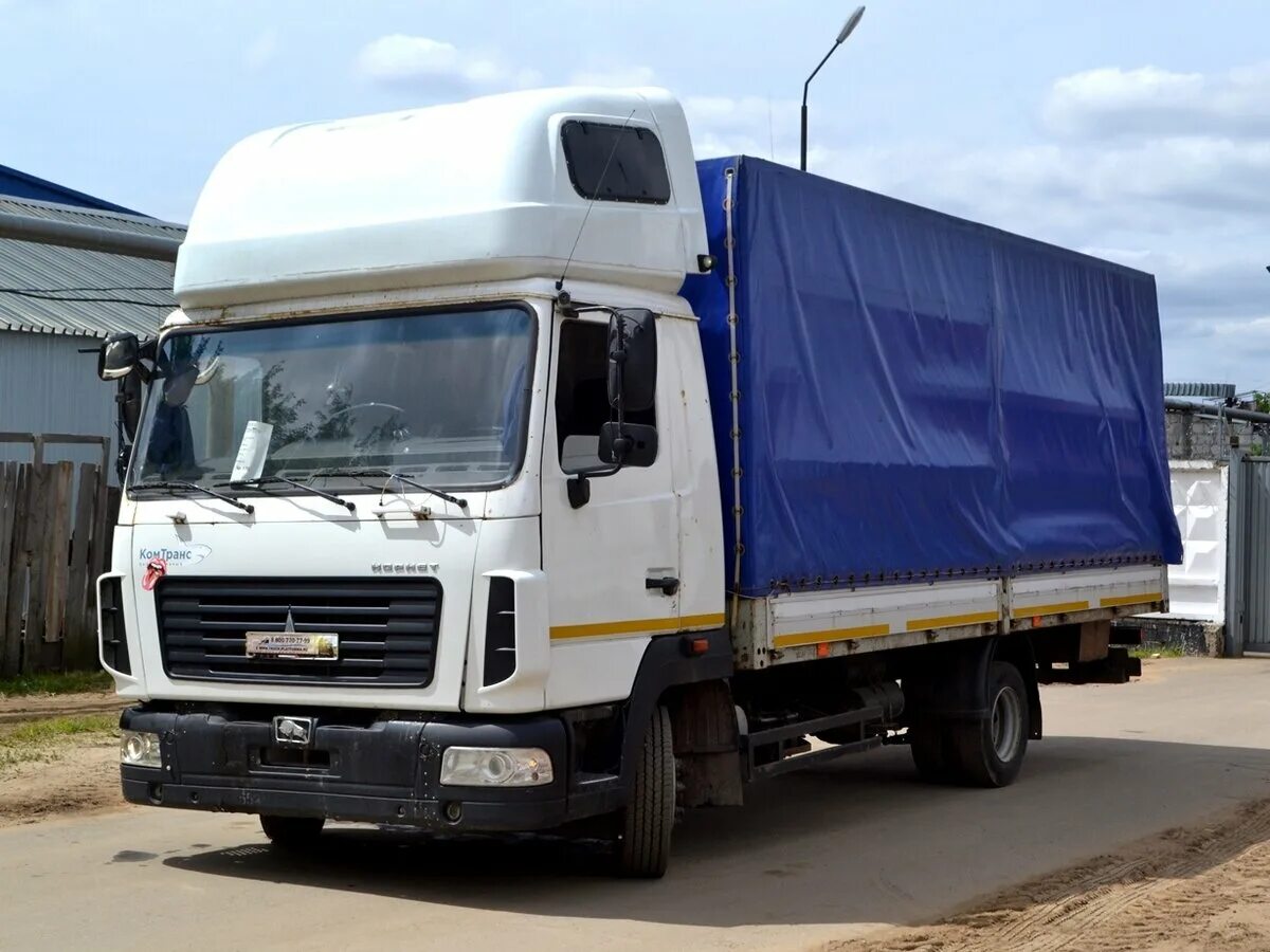 маз 4371 рефрижератор. маз 4371 корнет. маз 4370 корнет. маз 4371 корнет тюнинг. маз зубренок 4371 корнет.