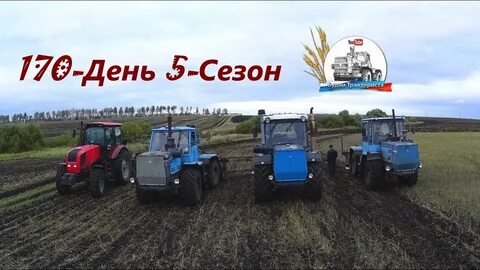 170 дней