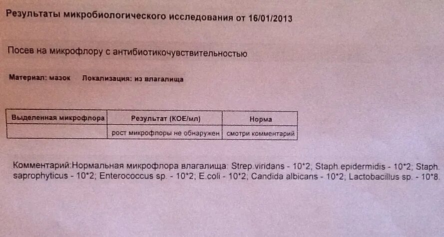 Нет роста микрофлоры. Нет роста микрофлоры